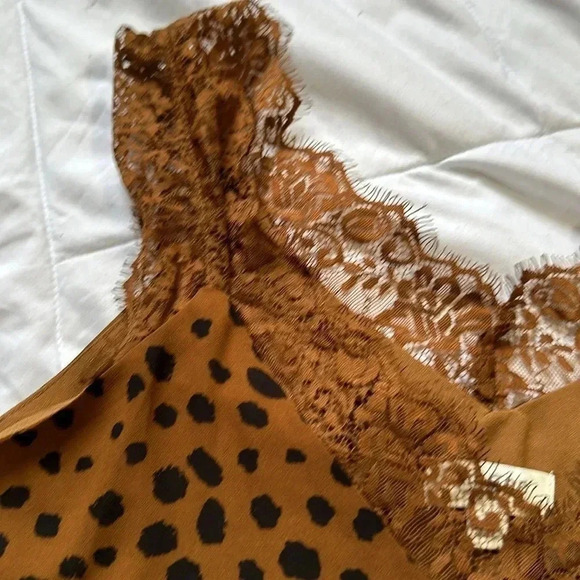 Umgee Tan and Black Lace Accent Tank Top - Picture 2 of 6